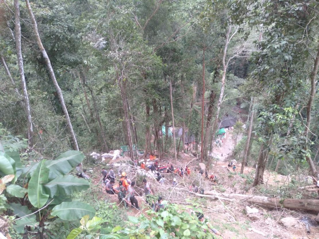 The mine was located under steep, heavily vegetated forest slopes.