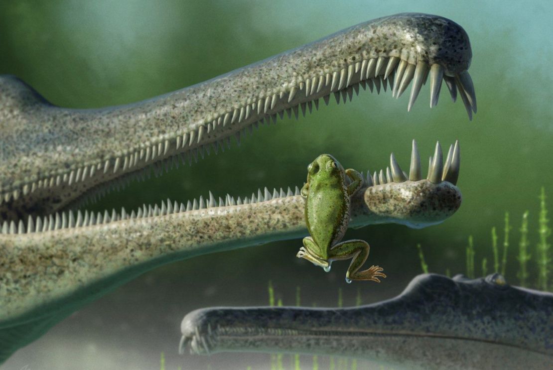 A concept rendering of a Chinle frog inside the jaw of a phitosaur. 