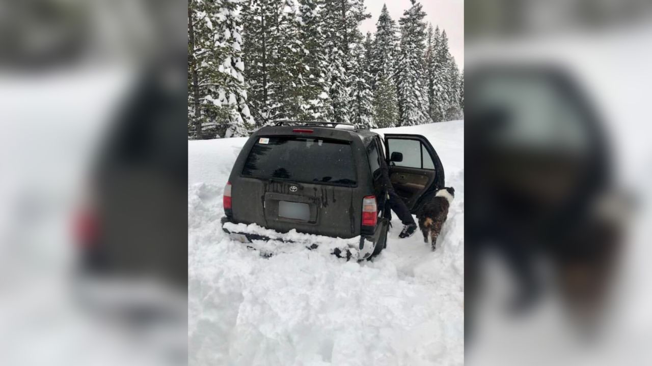 Jeremy Taylor and his dog, Ally, were stuck in the snow for five days and survived on taco sauce, according to the Deschutes County Sheriff's Office in Bend, Oregon. 