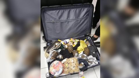 The animals were packed into four unclaimed suitcases.