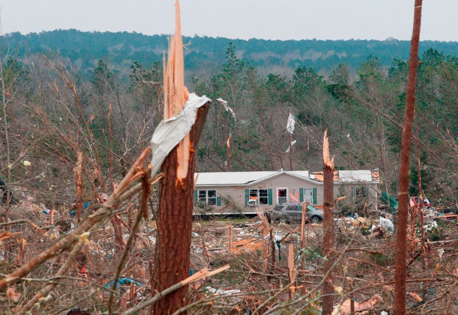 Trees in Beauregard were snapped like twigs.