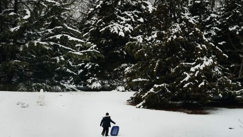 A boy sleds in Manhattan's Central Park on Monday after a late-season snowstorm.