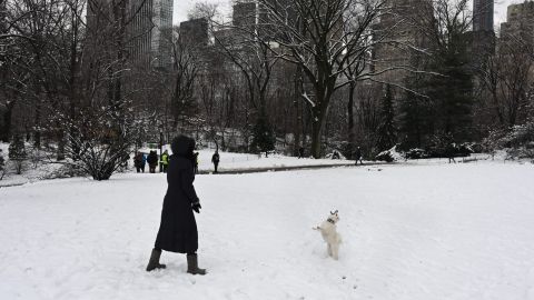 A woman plays with her dog in Central Park on Monday after 5 inches of snow fell.