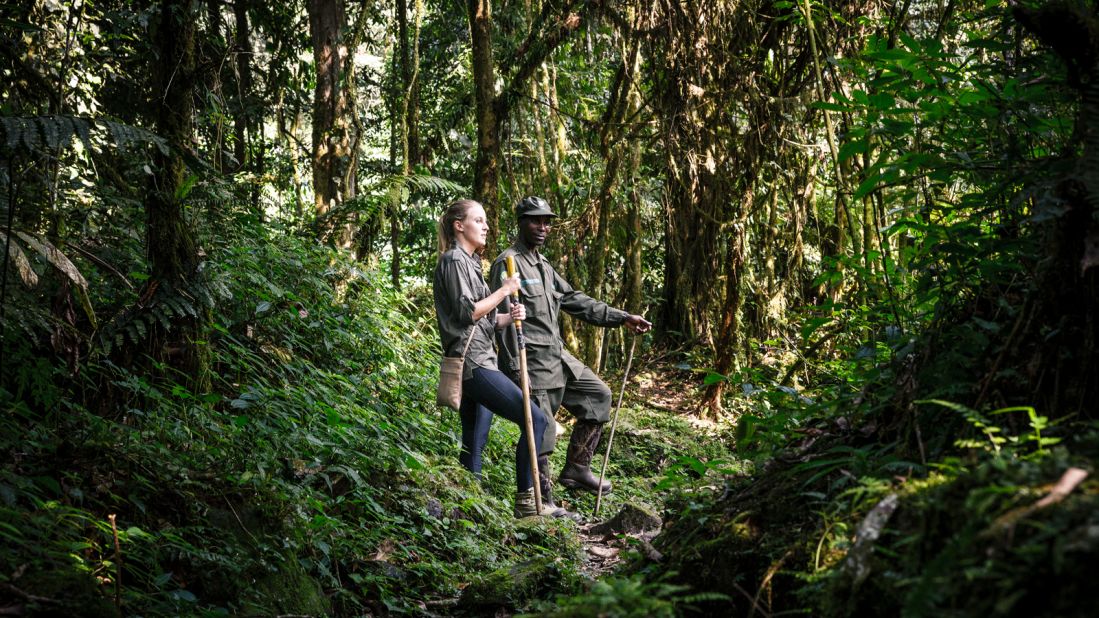 <strong>Bwindi Impenetrable Forest, Uganda: </strong>Home to a large amount of the world's remaining mountain gorillas, treks through the Bwindi Impenetrable Forest provide visitors with the chance to get close to habituated gorillas.