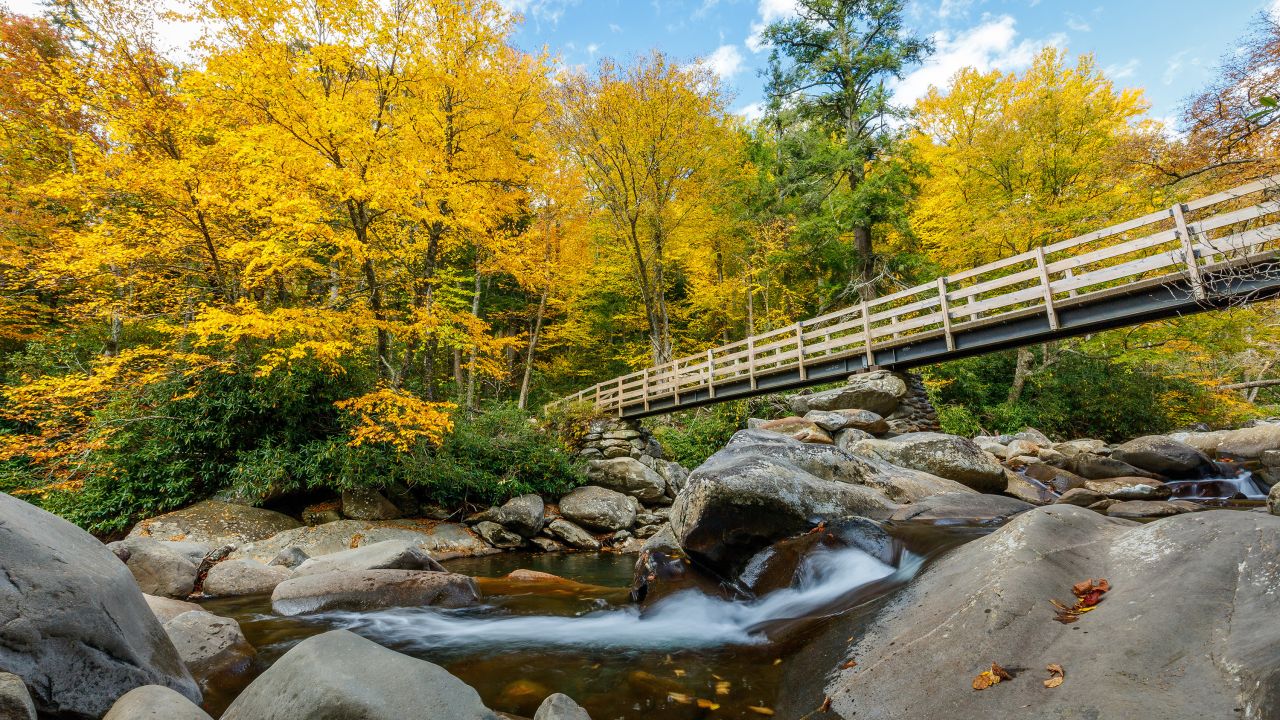 The most popular US national park, Great Smoky Mountains National Park is a happy place for many visitors.