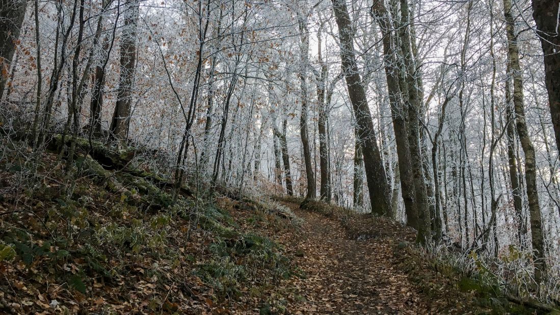 Georgia's Longest Hiking Trails