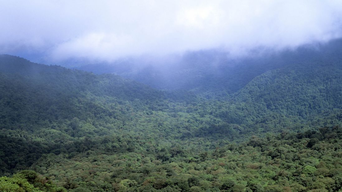 <strong>Monteverde Cloud Forest Reserve, Costa Rica: </strong>With a series of well-marked paths, the reserve is ideal for those looking for an easy stroll with the chance to see the area's bird life and flora up without having to take on a multi-day hike. 