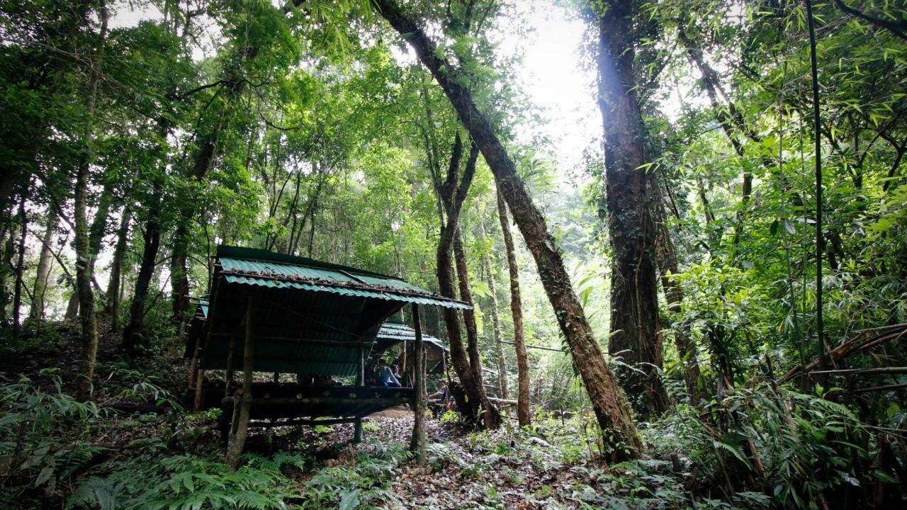 A challenging trek through the rare cloud forests of northern Laos.
