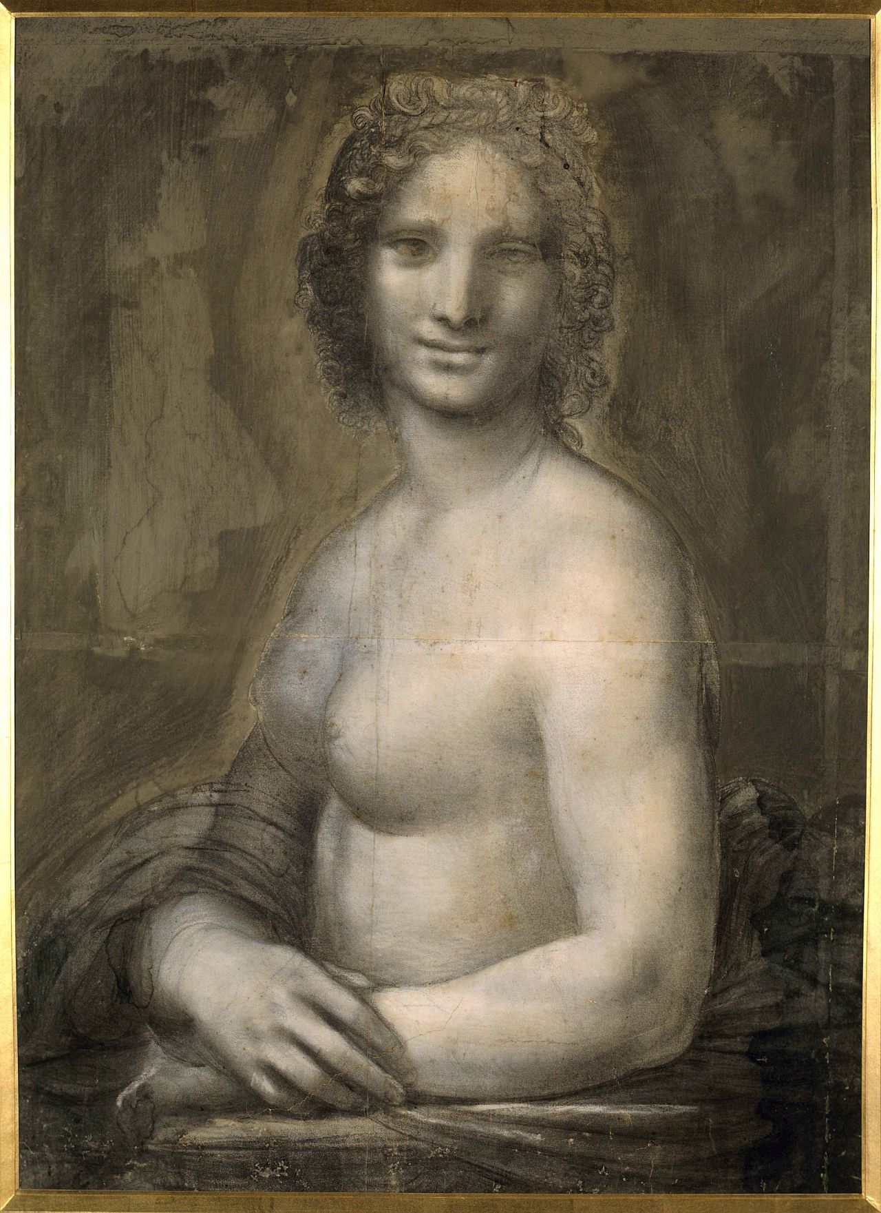 Left-handed charcoal marks hint at da Vinci's involvement.