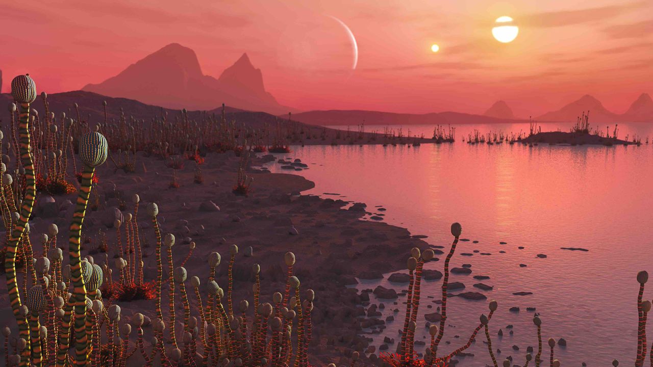 An artist's impression of life on a planet in orbit around a binary star system, visible as two suns in the sky. 