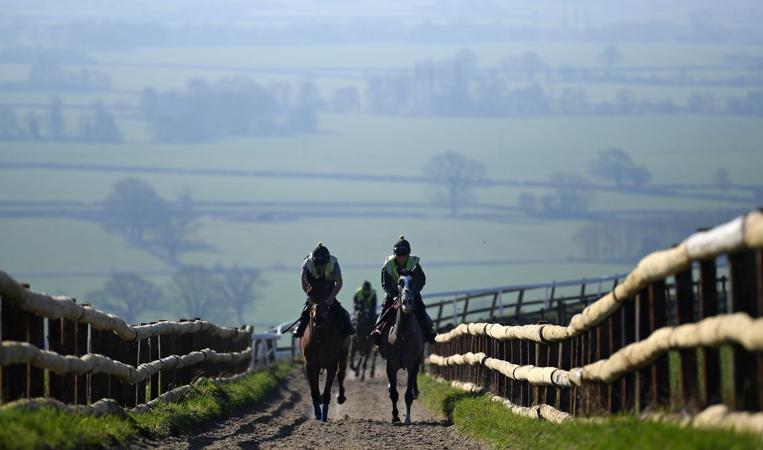 Horses from Paul Nicholls' yard exercise on the gallops at Ditcheat.