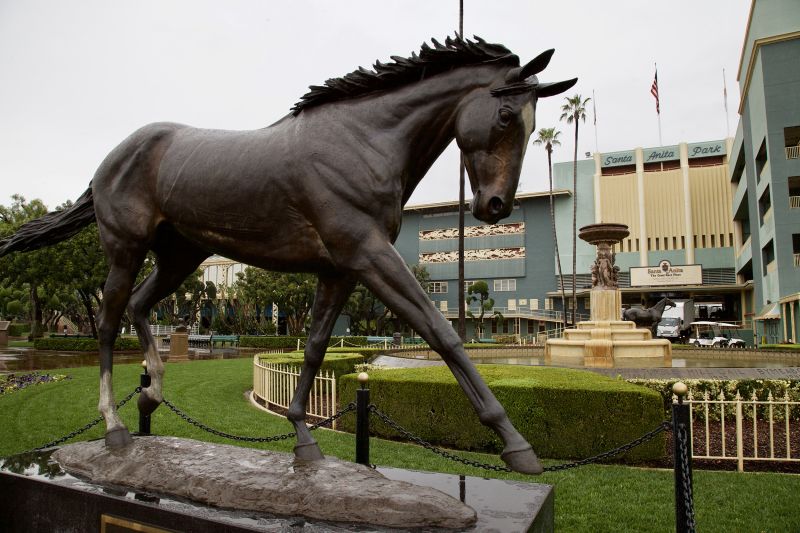 After a rash of horse deaths, Santa Anita Park bans race day medications CNN