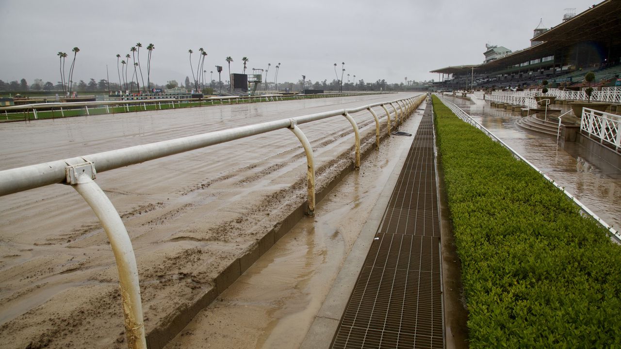 Santa Anita Park has closed at least through the weekend because of a high number of horse deaths.
