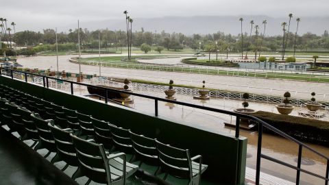 Twenty-two horses have died at Santa Anita Park since December 26.