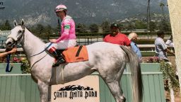 06 horse deaths santa anita park
