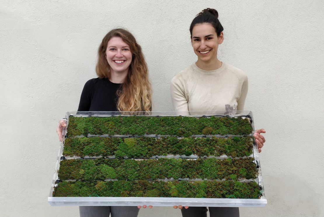 Liron Simon and Shir Esh, founders of Airy, a start-up which produces pollution-absorbing moss tiles.