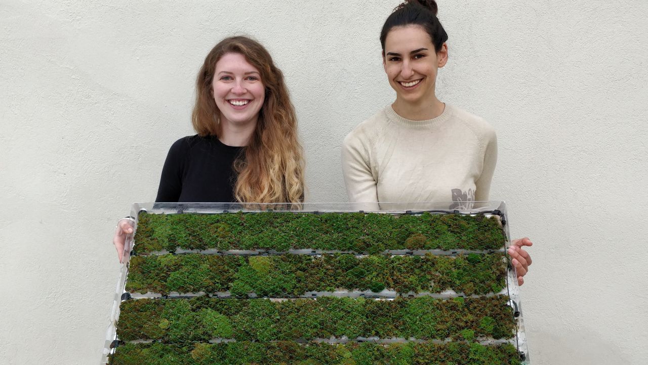 Liron Simon and Shir Esh, founders of Airy, a start-up which produces pollution-absorbing moss tiles.