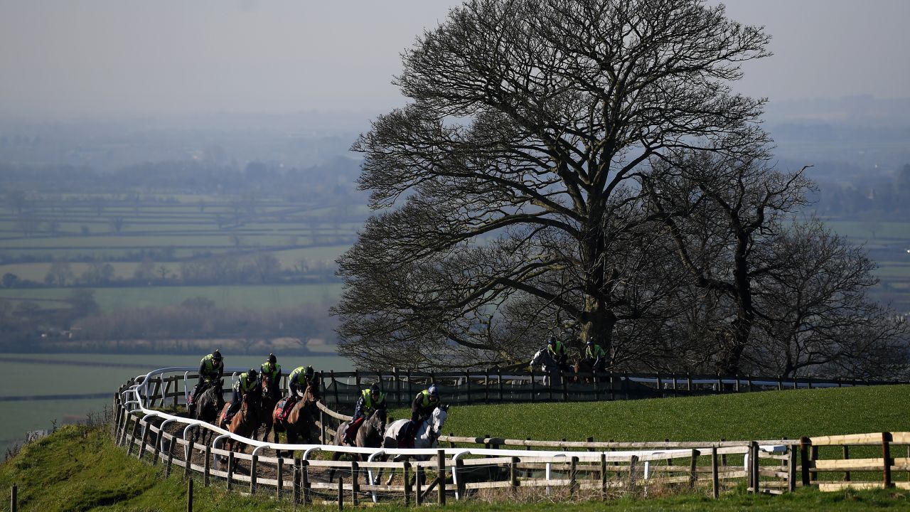 Each horse's work program is tailormade by Nicholls, Baker and assistant trainer Harry Derham.