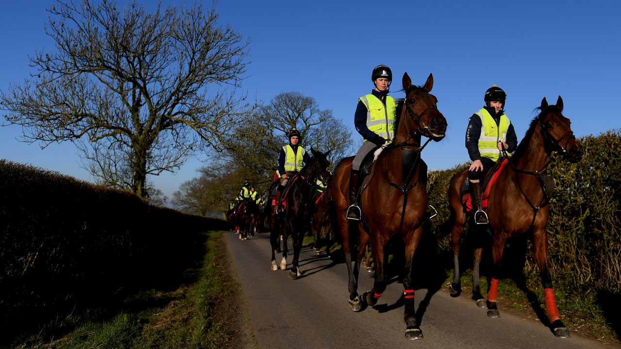 Horses go out in three lots every morning for exercise.