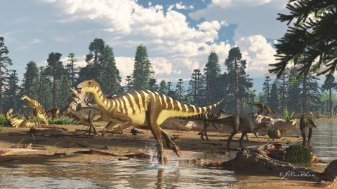 An artist's impression of a Galleonosaurus dorisae herd on a riverbank in the Australian-Antarctic rift valley during the Early Cretaceous, 125 million years ago. 