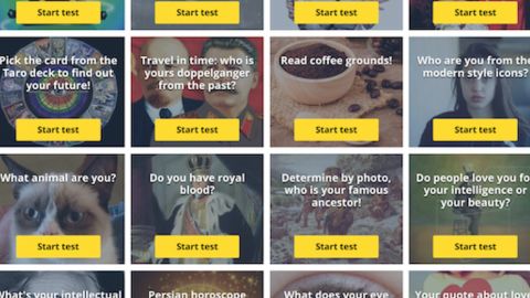 The alleged hackers used quizzes and surveys with titles like "What animal are you?" and "What does your eye color say about you?"