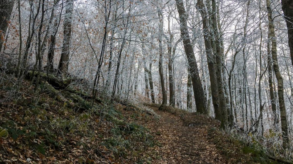 The Appalachian Trail stretches from Georgia to Maine. 