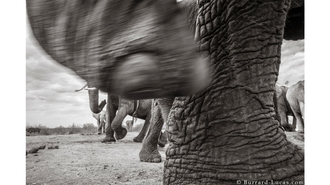 The photos will be the subject of a book called "Land of Giants."