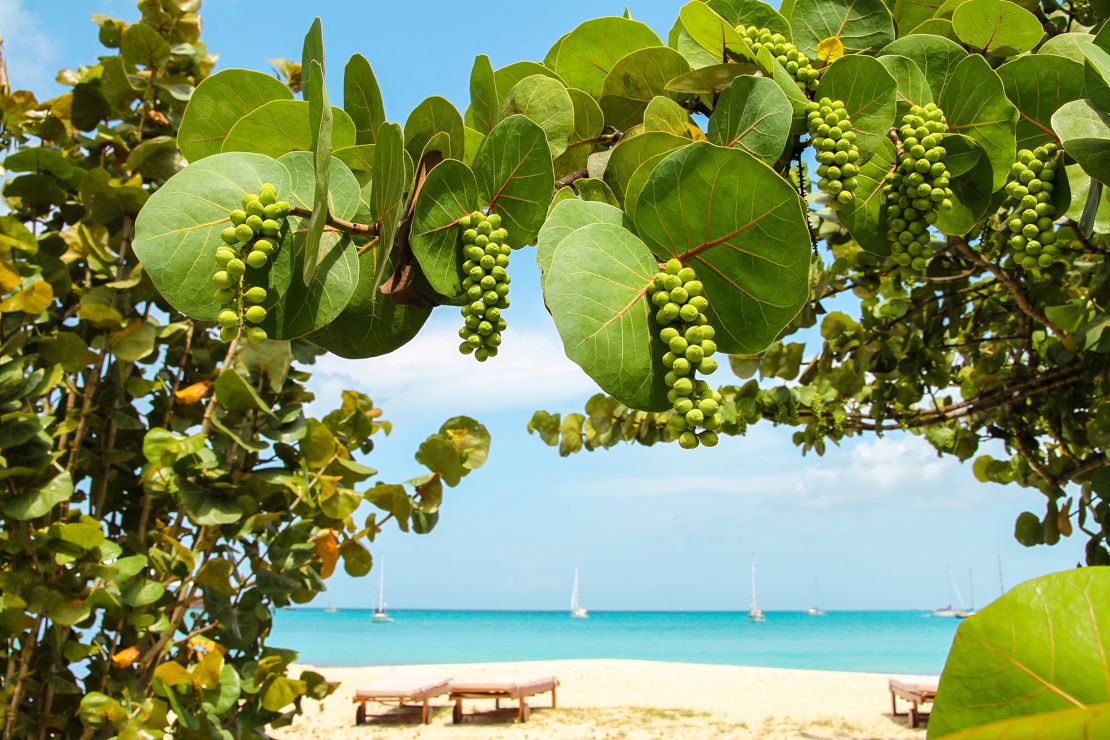 Lush vegetation frames the island's hundreds of beaches.