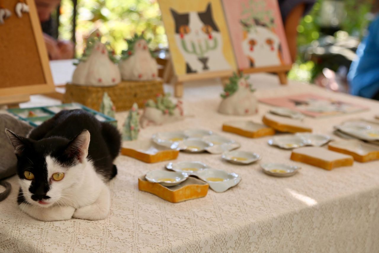 A cat is seen lying on a ceramic stall in the Pottery Workshop Market which is at the very center of Jingdezhen's creativity and modernity. Without any sign, it could be easily mistaken as some hip artsy market in the west. 
