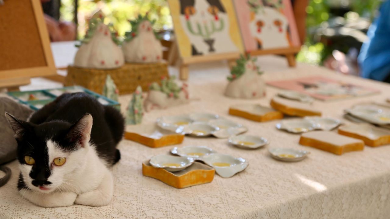 A cat is seen lying on a ceramic stall in the Pottery Workshop Market which is at the very center of Jingdezhen's creativity and modernity. Without any sign, it could be easily mistaken as some hip artsy market in the west. 
