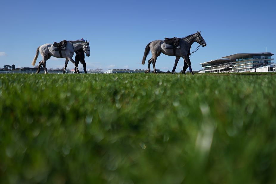 Horses cross the course after exercising ahead of the 2019 Cheltenham Festival. 
