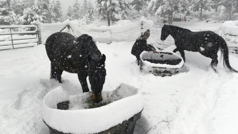Linda Hurth feeds her horses March 13 as the storm pushes through Nederland, Colorado. 
