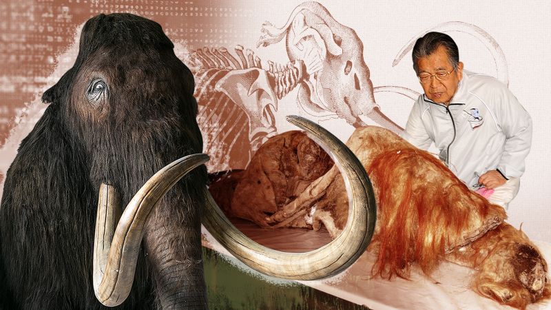 The 90-year-old still dreaming of resurrecting a mammoth | CNN