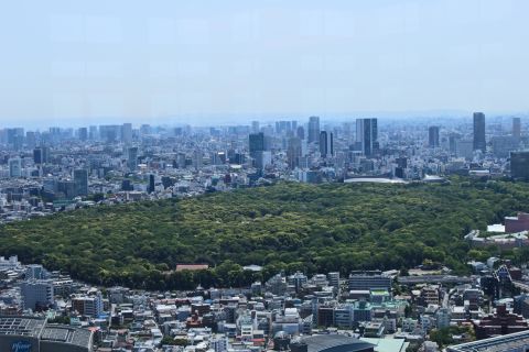 The gardens in Shinjuku -- seen from above -- also offer an oasis of green in the center of Tokyo. 