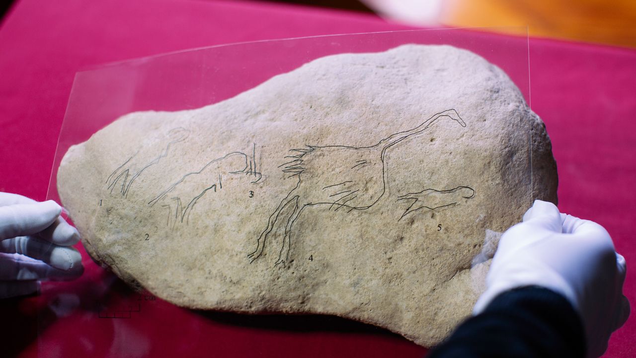 Image of the findings with a tracing of the engraved figures on the piece.