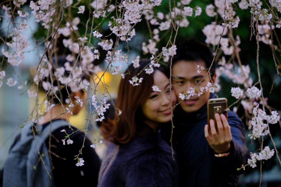 Finding an escape amid the country's bustling cities can be a welcome relief. Cherry blossoms -- which lend their name to Japan's rugby team -- are in full bloom during spring in Tokyo's Ueno Park.