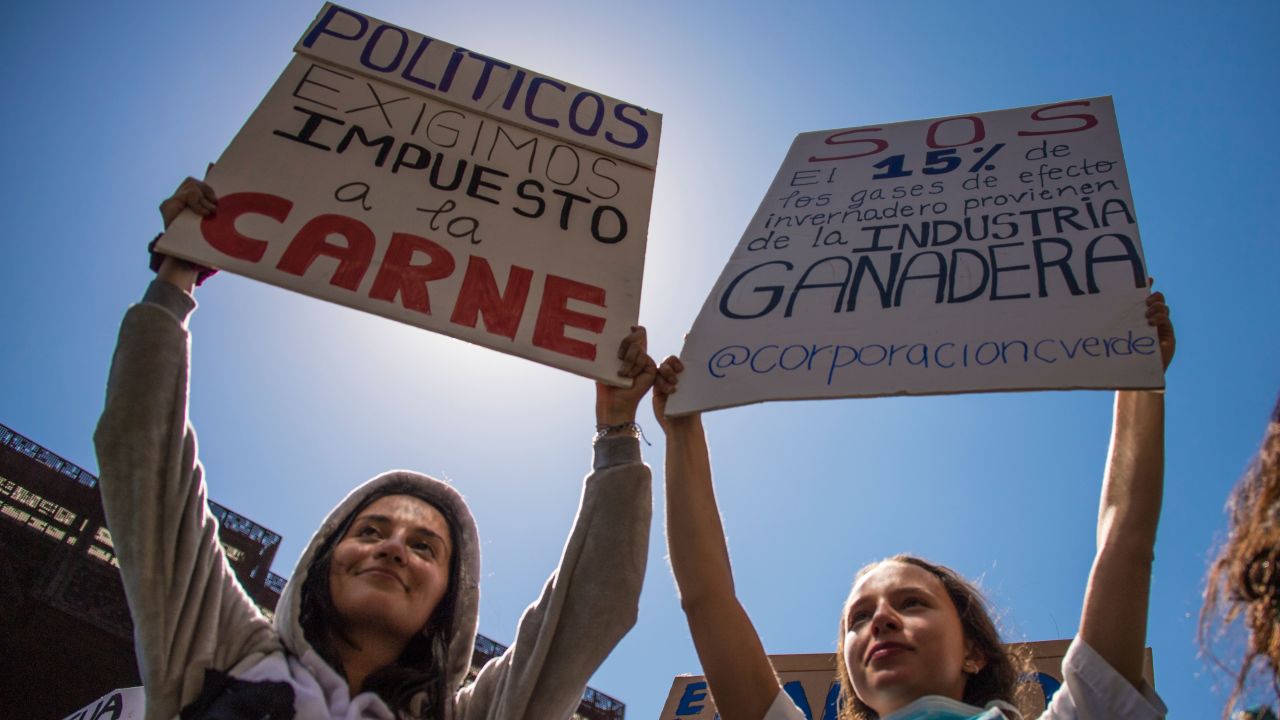 Demonstrators hold placards during a protest called by the "Fridays For Future" movement on a global day of student protests aiming to spark world leaders into action on climate change in Santiago, Chile, on March 15, 2019. - The worldwide protests were inspired by Swedish teen activist Greta Thunberg, who camped out in front of parliament in Stockholm last year to demand action from world leaders on global warming. (Photo by Martin BERNETTI / AFP)        (Photo credit should read MARTIN BERNETTI/AFP/Getty Images)