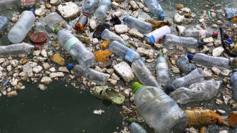 Plastic trash floating in Naifaru Harbour in the Indian Ocean.