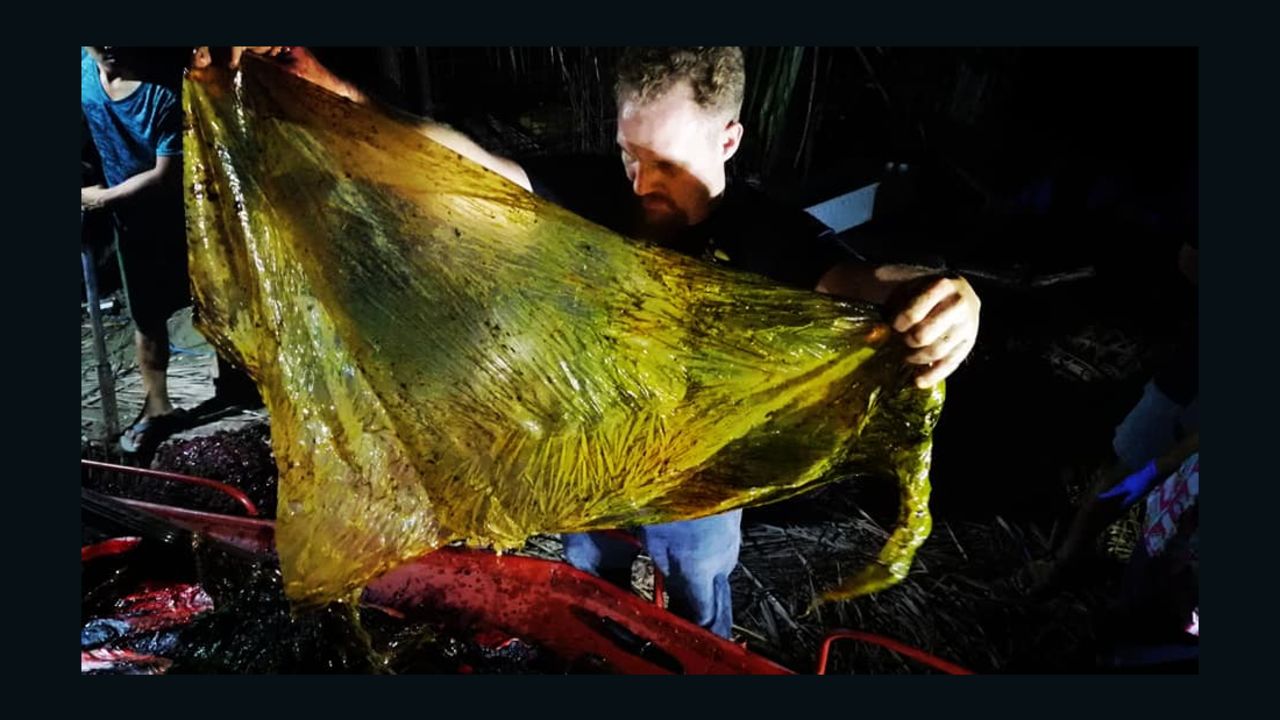 Darrell Blatchley, above, found around 40 kilograms of rice sacks, grocery bags, banana plantation bags and general plastic bags in the stomach of the whale. 