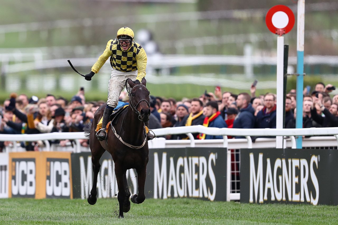 Al Boum Photo was the first Gold Cup winner and final piece in the puzzle for veteran Irish trainer Willie Mullins.