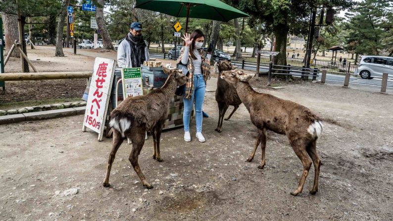 <strong>Shika-senbei: </strong>These special deer rice crackers available from vendors at the park can be purchased upon arrival. 