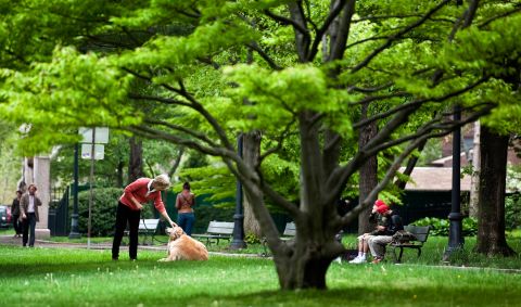 Warren takes a morning walk with her dog Otis on the Harvard University Business School campus in May 2012.