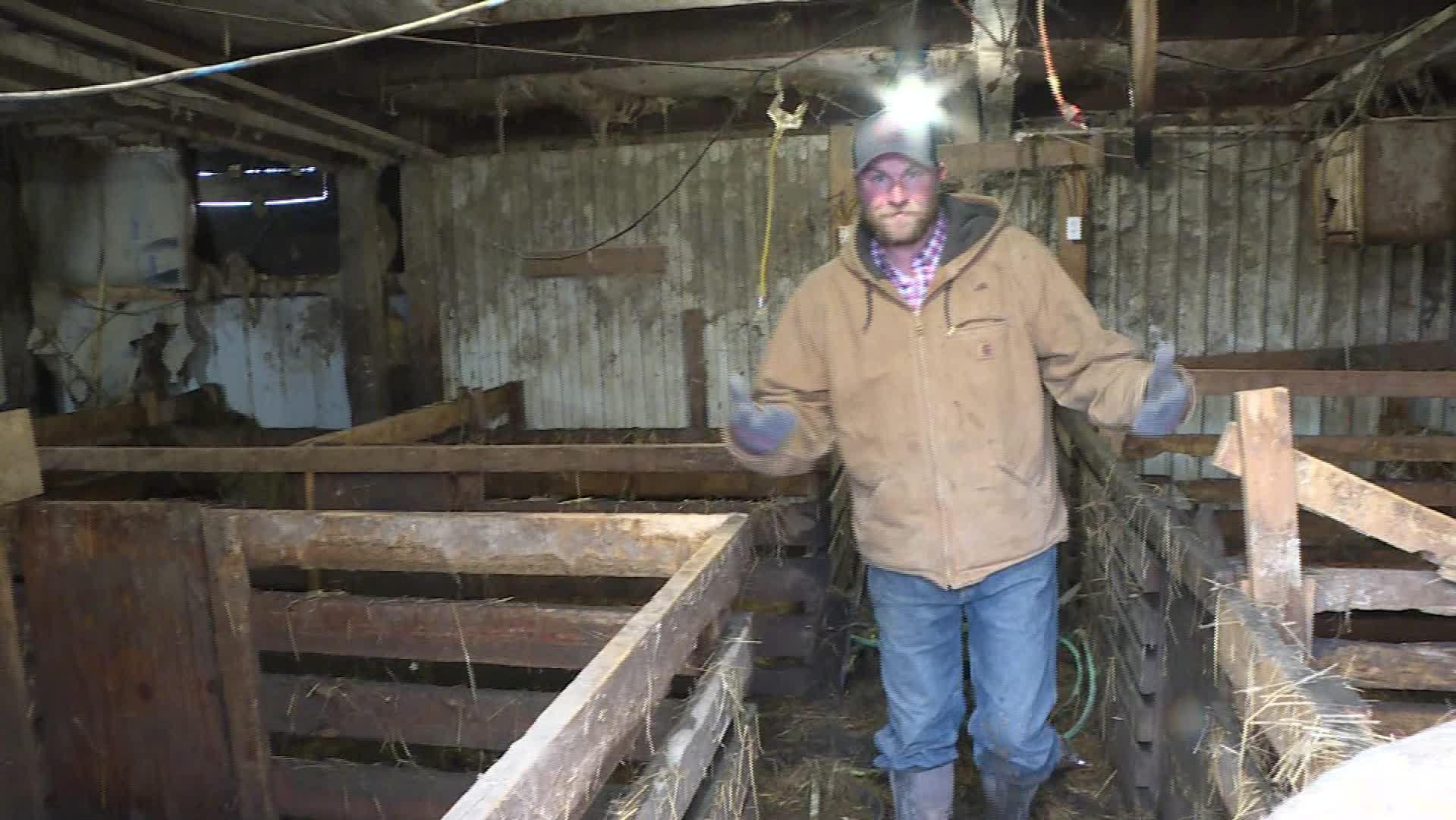Eric Alberts said many hogs drowned in this barn.