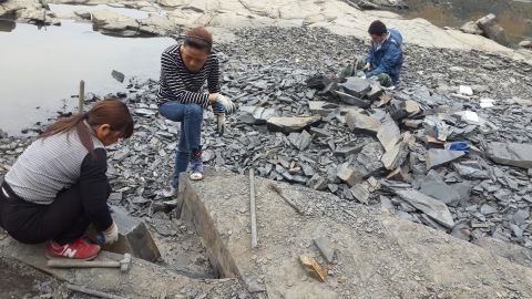 The researchers excavated fossils on a bank of the Danshui River.
