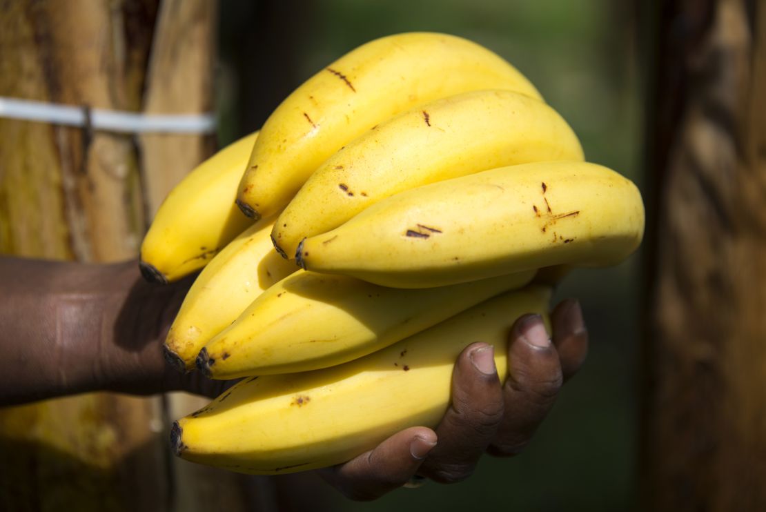 One large banana on average costs 160 liters of water. 