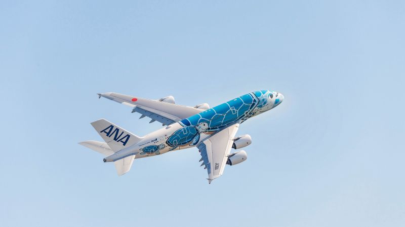 Flying turtle' A380 ready for takeoff | CNN
