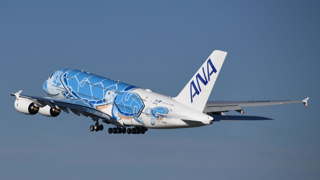 <strong>New superjumbo:</strong> This is All Nippon Airways' Flying Honu A380, a new edition of the superjumbo designed to resemble a sea turtle.