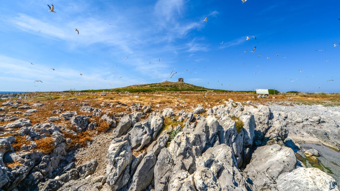 The island is being sold by a hard-up aristocratic family.