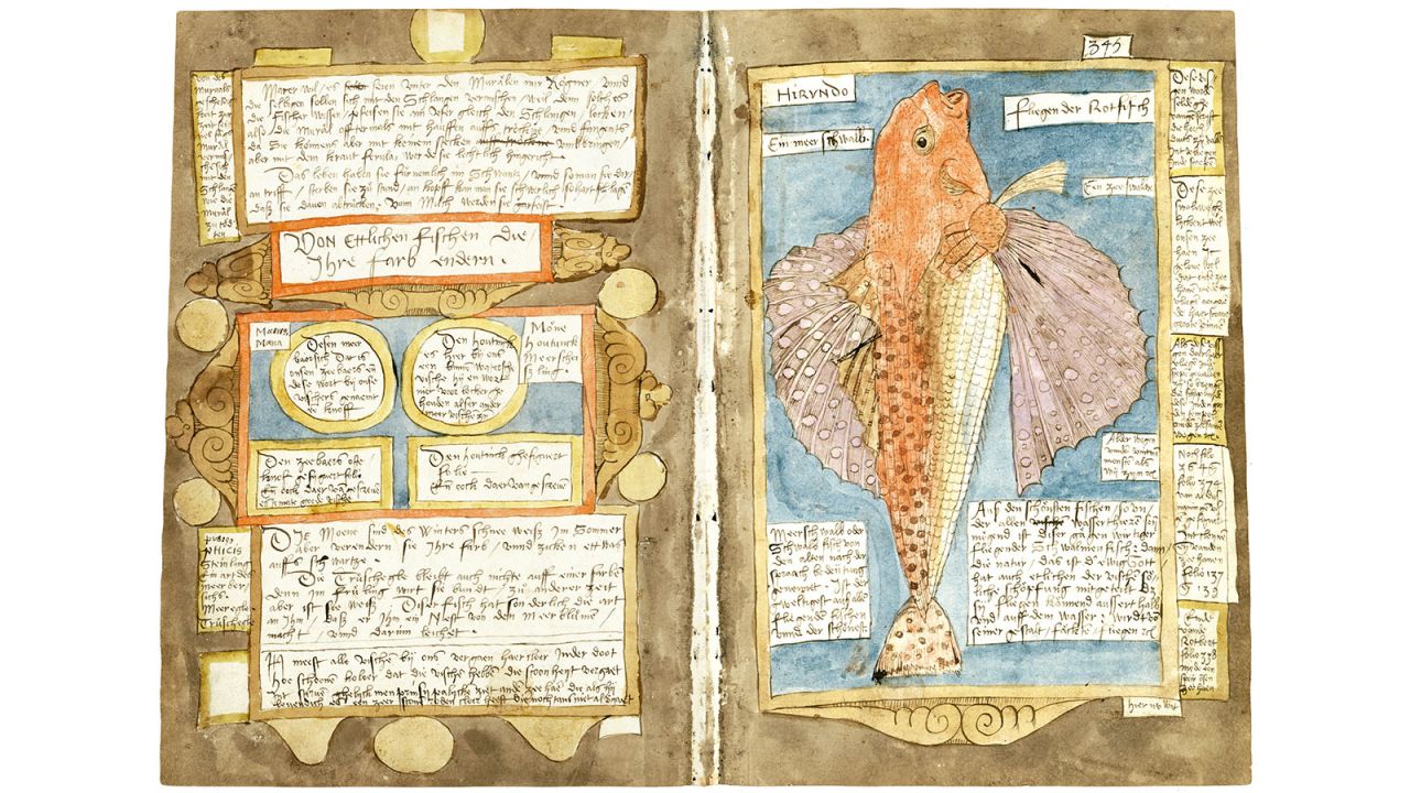 <strong>Flying fish: </strong>Seafarers' journals often included drawings and diagrams of fish and sea creatures. Dutchman Adriaen Coenen produced his "Visboek," a book of fish, while at sea. This page depicts a flying fish, found in tropical climes.