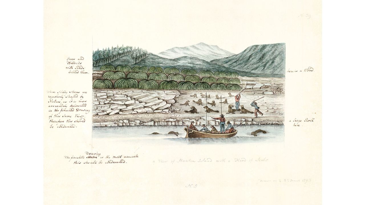 German surgeon Sigismund Bacstrom painted this picture entitled "View of Staaten Island with a Herd of Seals."